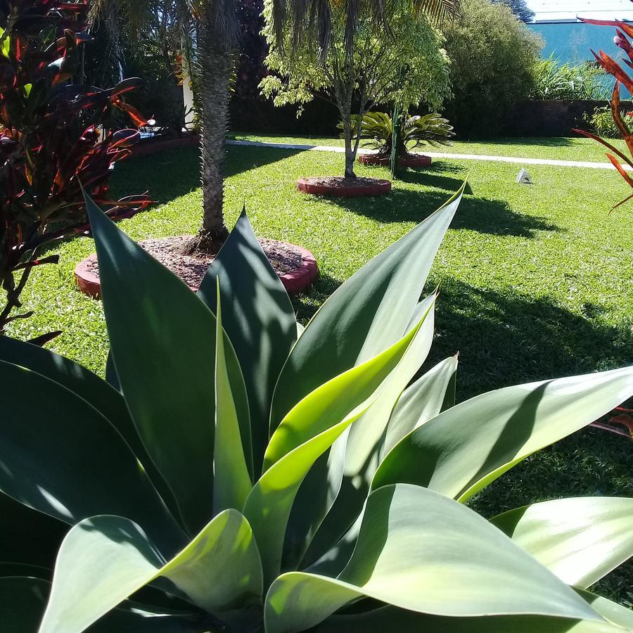Ecohostel Dos Canyons Santa Catarina Praia Grande  Exteriör bild